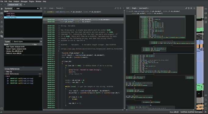 read_string_decomp_binja_0