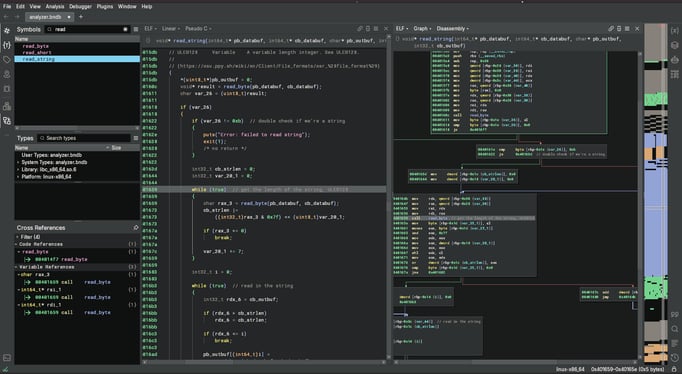 read_string_decomp_binja_1