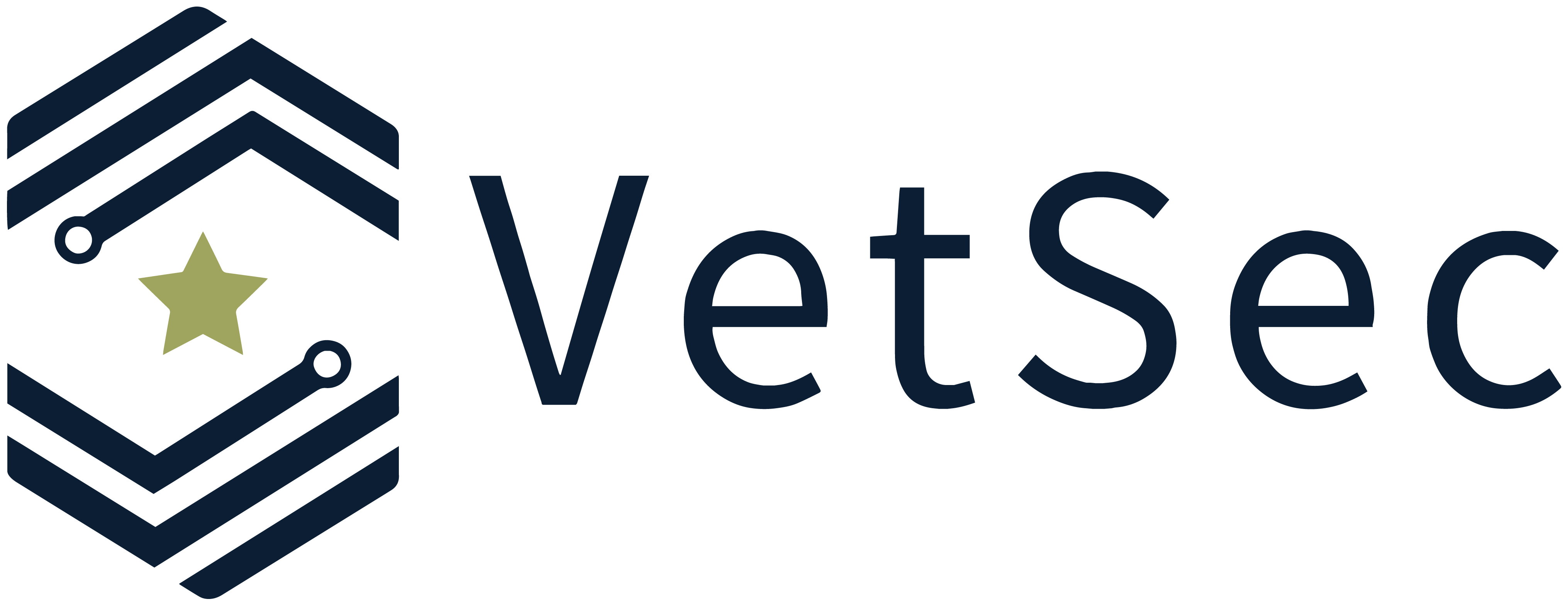 VetSec_logo_color